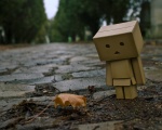    -  DANBO  