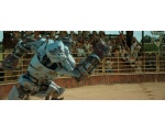   -   (Real steel)