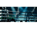     -   (Real steel)