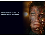   -  (Terminator)