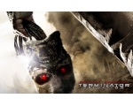 Оторванная голова терминатора - Терминатор (Terminator)