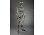 робот скелет - Робот Джи