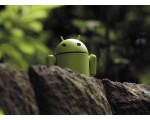 на природе - Android