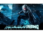 постер игры - Metal Gear Rising: Revengeance