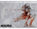 Metal Gear Rising - Metal Gear Rising: Revengeance