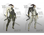 схема киборга - Metal Gear Rising: Revengeance