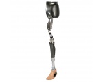 протез ноги 10 - Биопротезы конечностей: рук, фалангов, ног, коленей и т.д.