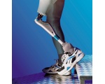 протез ноги 12 - Биопротезы конечностей: рук, фалангов, ног, коленей и т.д.