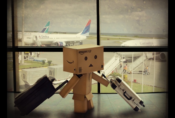 Danbo -    