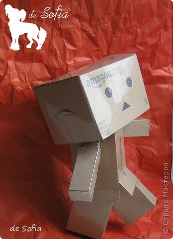 Danbo ( Danboard)        41