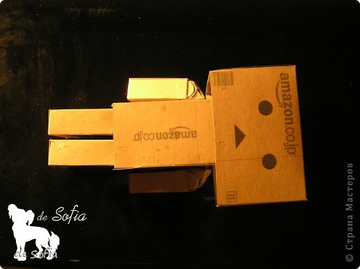 Danbo ( Danboard)        35