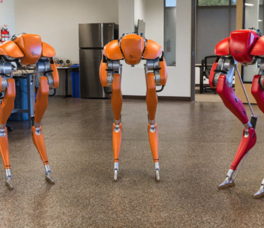 В самоуправляемых фургонах Ford появятся «ходячие роботы» Agility Robotics