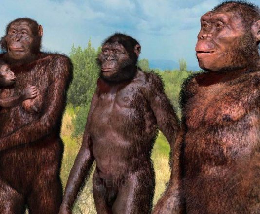 Эволюция человека: обратно к деревьям?