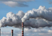 Люди набирают лишний вес из-за грязного воздуха в городе