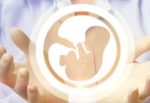 Может ли искусственное оплодотворение ЭКО влиять на здоровье детей?