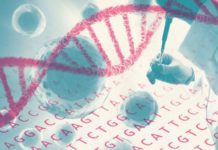 Гены, которые начинают работать после смерти