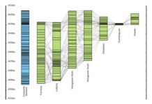 Ископаемая летопись палеозоя создана китайскими палеонтологами