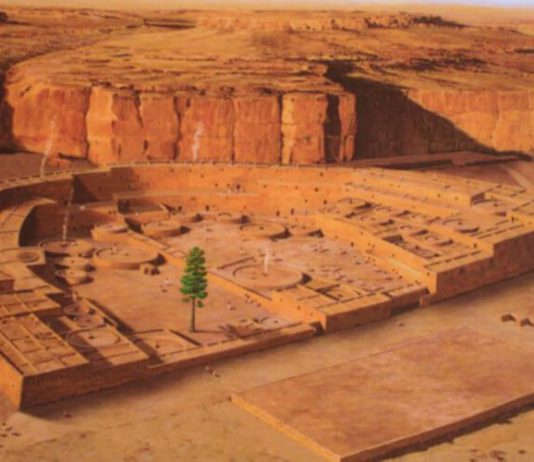 Разгадана тайна мистического «дерева жизни» в США