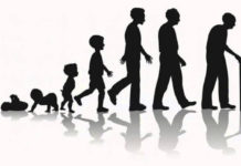 Как увеличить продолжительность жизни? Что можно сделать уже сейчас?