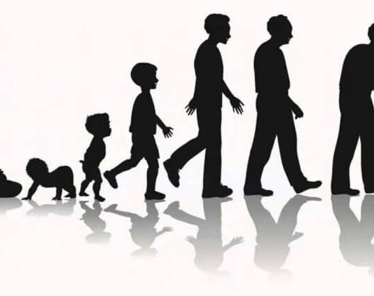 Как увеличить продолжительность жизни? Что можно сделать уже сейчас?