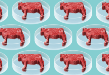 Как сделать искусственное мясо еще больше похожим на настоящее