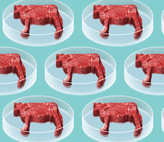 Как сделать искусственное мясо еще больше похожим на настоящее