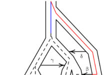 Предки неандертальцев и денисовцев скрещивались с потомками древних евразийских эректусов
