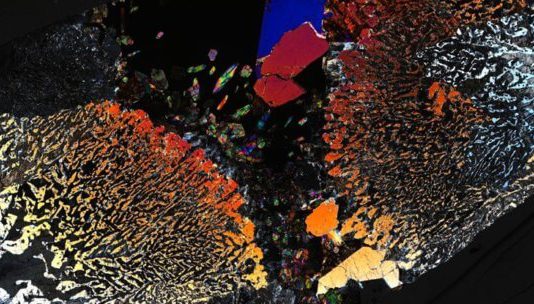 Найдена жизнь в одном из самых экстремальных мест планеты