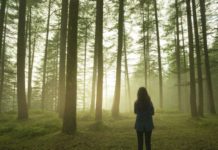 10 минут ежедневного пребывания на природе снизит тревогу и беспокойство