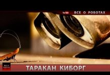 Таракан Киборг, имитирующий повадки насекомого