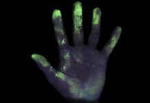 Можно ли убить вирус ультрафиолетом? Убить вирус ультрафиолетом