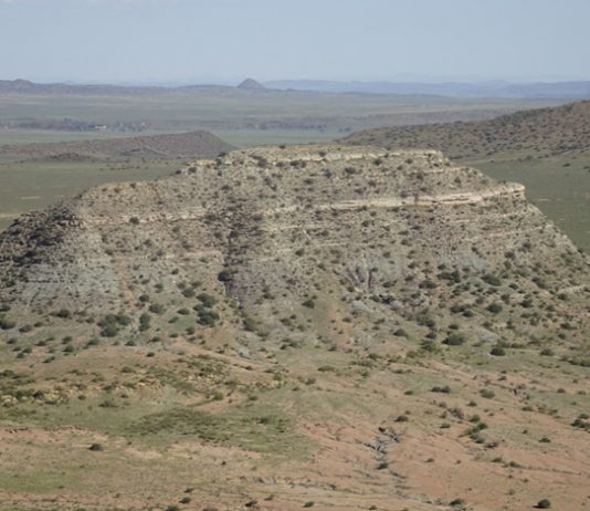Массовое пермское вымирание на суше началось раньше, чем в океане