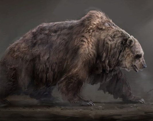 Какими были пещерные медведи и почему они вымерли?