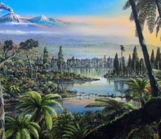 Как выглядела холодная Антарктида 90 миллионов лет назад?