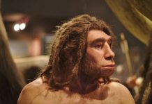 Чем питались люди 100 тысяч лет назад? Чем питались люди 100 тысяч лет назад