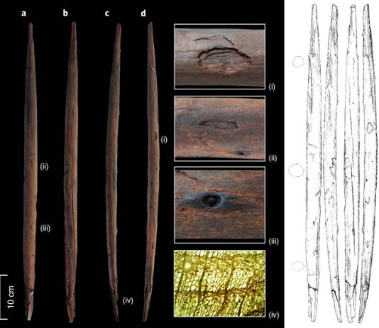В Германии найдена охотничья метательная палка возрастом 300 000 лет