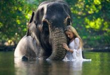 Женщины живут дольше мужчин, но актуально ли это среди животных? Женщины живут дольше мужчин, но актуально ли это среди животных?