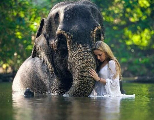 Женщины живут дольше мужчин, но актуально ли это среди животных? Женщины живут дольше мужчин, но актуально ли это среди животных?