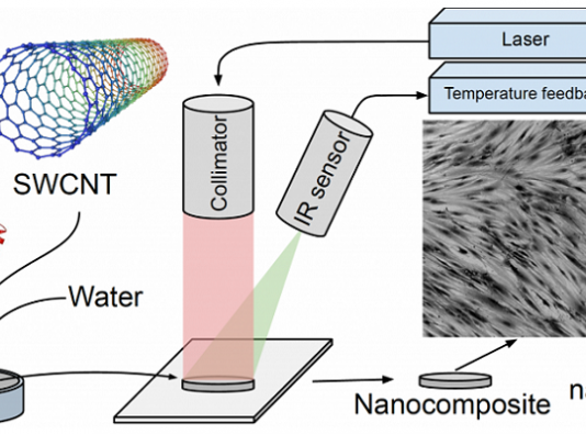 Исследователи из НИУ МИЭТ разработали методику нанокомпозитной 3D-печати регенеративных имплантатов