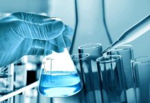 Ученые КФУ работают над улучшением термостатичности биопластиков