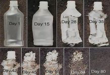 Генномодифицированный природный фермент эффективно разбирает пластик на кирпичики