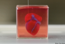 Bayer испытает лекарства применив 3D-печатные сердечные ткани