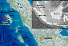На тропических островах виды птиц исчезают раньше, чем их успевают открыть