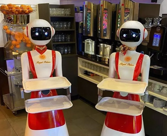 Роботы организуют социальное дистанцирование в ресторане