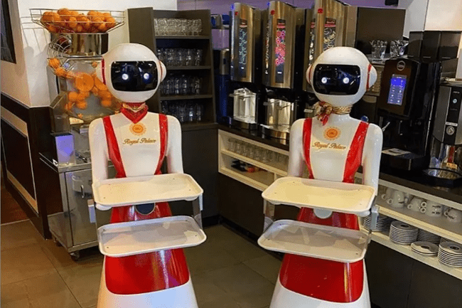 Ресторан в Нидерландах начал использовать роботов для поддержки социального дистанцирования