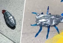 Биоморфные батареи запасут энергию для роботов подобно природному жиру