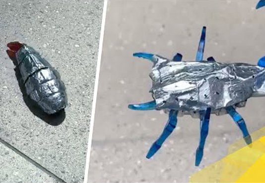 Биоморфные батареи запасут энергию для роботов подобно природному жиру