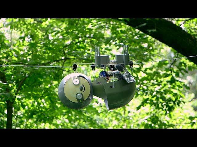 Робот-ленивец SlothBot займется неторопливым исследованием джунглей нашей планеты