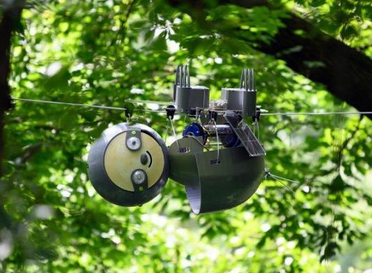 Робот-ленивец SlothBot неторопливо исследует джунгли