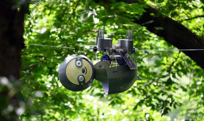 Робот-ленивец SlothBot займется неторопливым исследованием джунглей нашей планеты